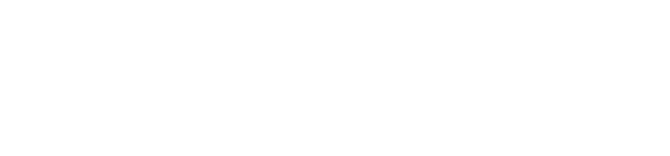 New Brandbook Aria Financial Group 2024